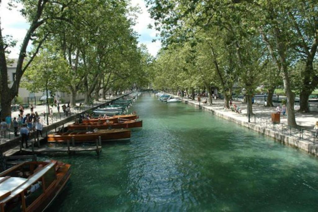 Les Acacias Appartement *